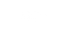 logo_004a